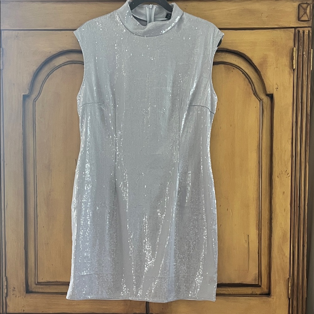 Elegant Silver Sequin Dress